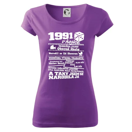 1991 v kostce