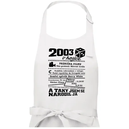 2003 v kostce
