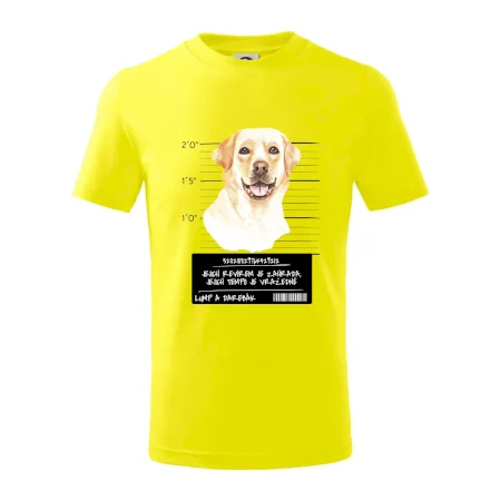 Lump a darebák labrador