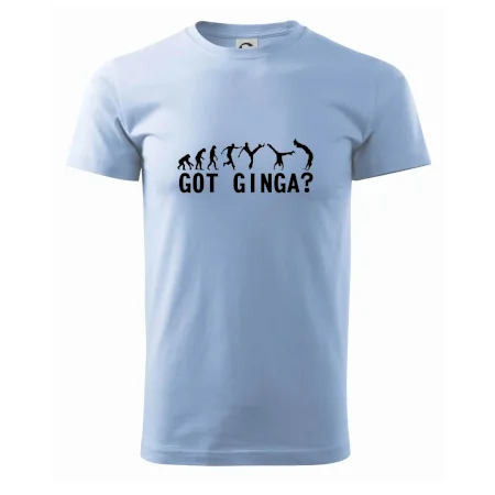 Capoeira - Got Ginga