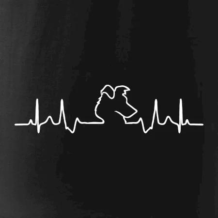 Border kolie EKG