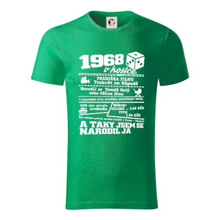 1968 v kostce