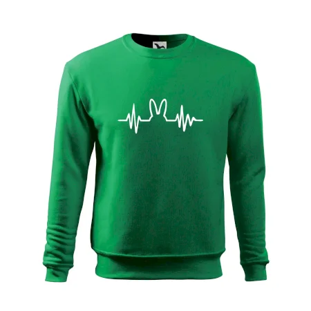 EKG zajíc