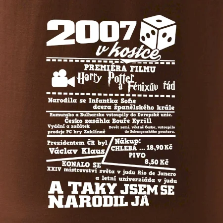 2007 v kostce