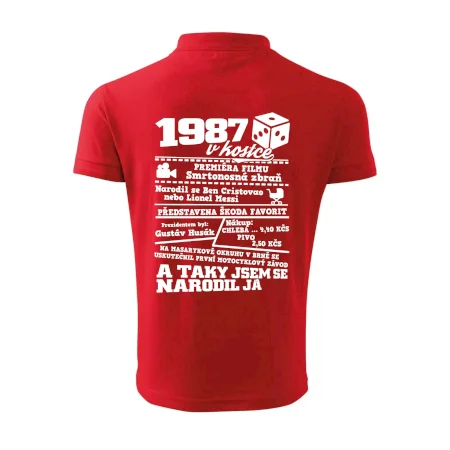 1987 v kostce