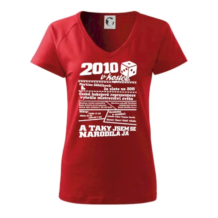 2010 v kostce