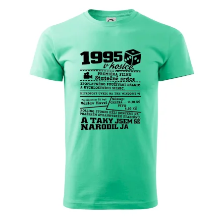 1995 v kostce