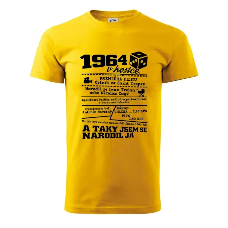 1964 v kostce