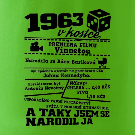 1963 v kostce