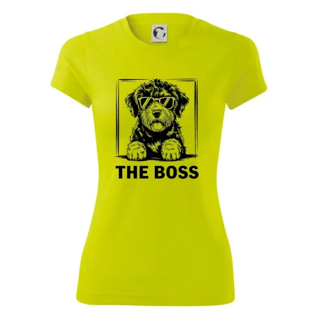 Lagotto romagnolo the boss
