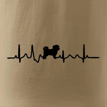 Havanský psík ekg