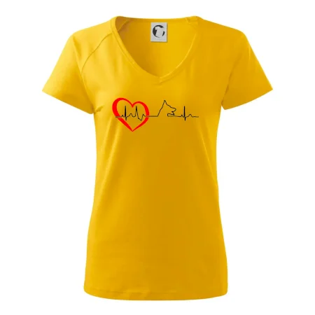 Německý ovčák ekg