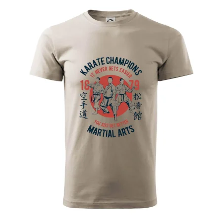 Karate Champions