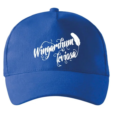 Harry - Wingardium Leviosa