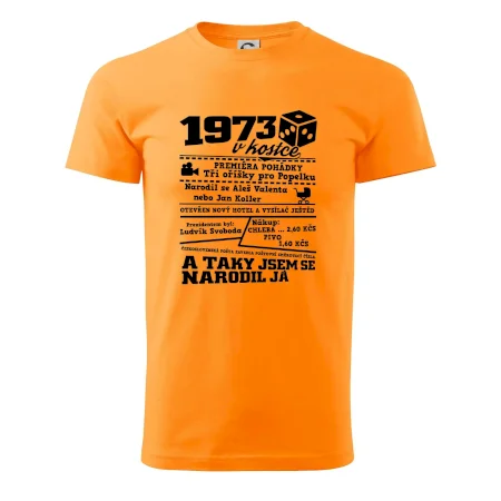1973 v kostce