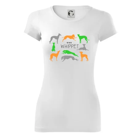 Whippet barevný