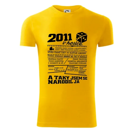 2011 v kostce