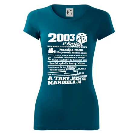 2003 v kostce