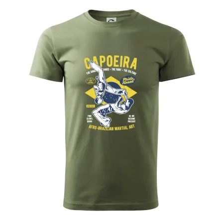 Capoeira  Afro-brazil art