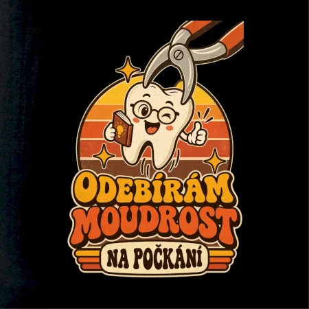 Odebírám moudrost na počkání