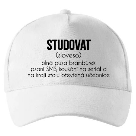 Studovat
