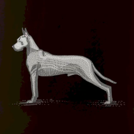 Vintage Great dane