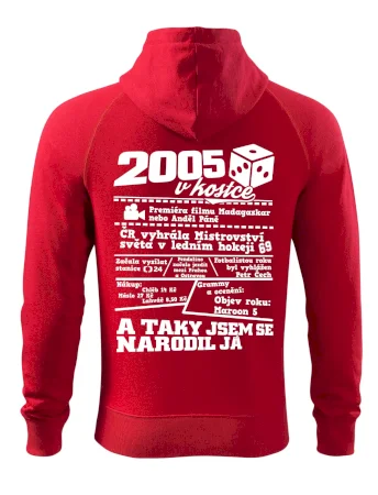 2005 v kostce