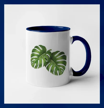 Monstera - dva listy