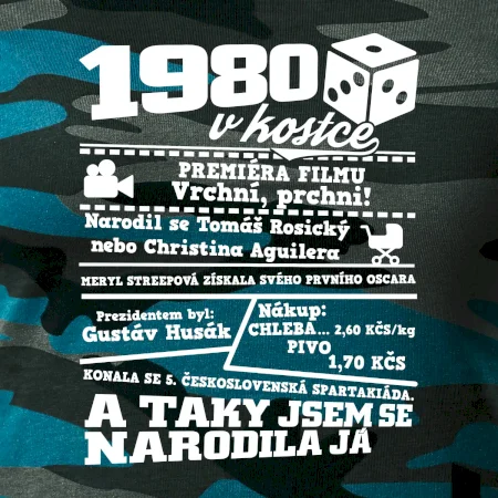 1980 v kostce