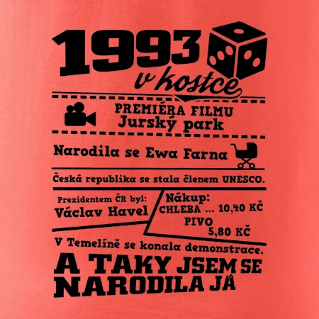 1993 v kostce