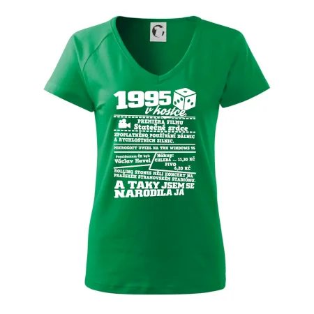 1995 v kostce