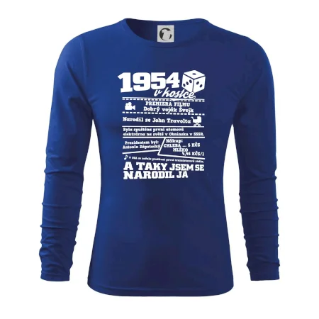 1954 v kostce