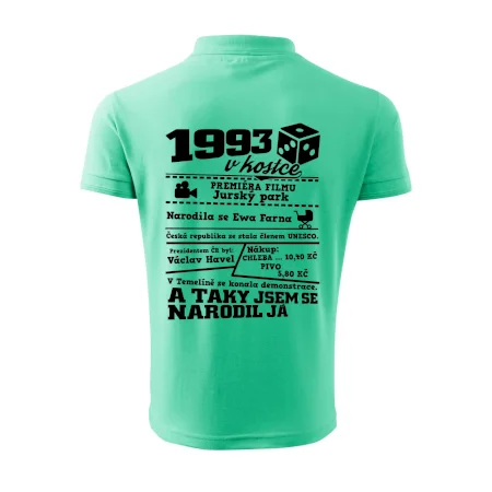 1993 v kostce