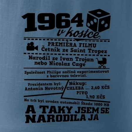 1964 v kostce