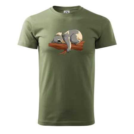 Koala na větvi
