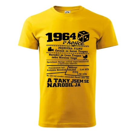 1964 v kostce