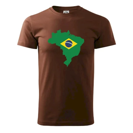 Brazílie vlajka v mapě