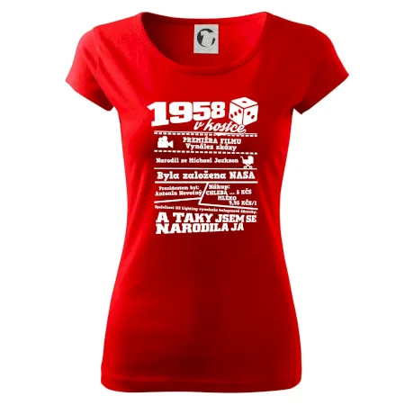 1958 v kostce