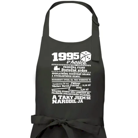 1995 v kostce
