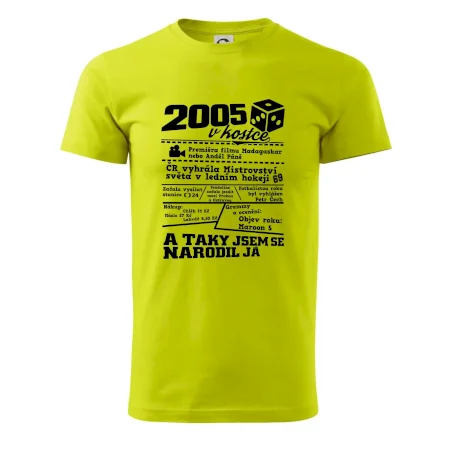 2005 v kostce