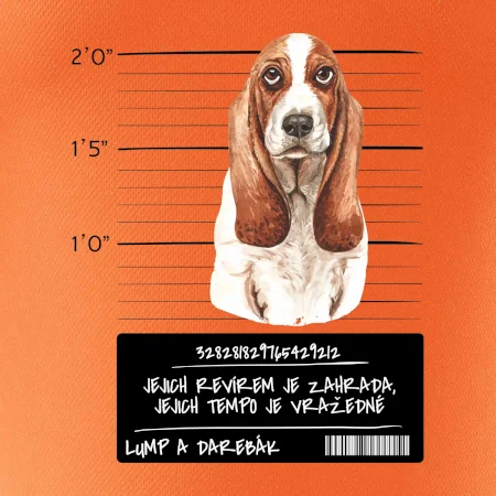 Baset - lump a darebák