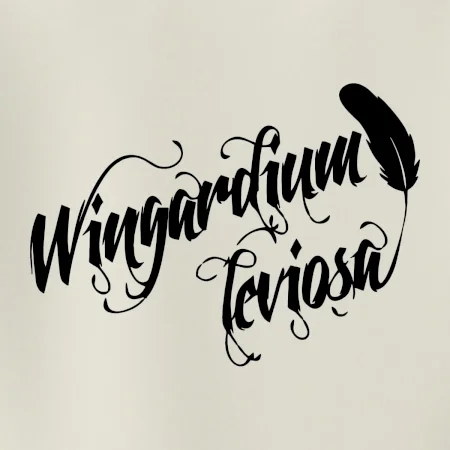 Harry - Wingardium Leviosa