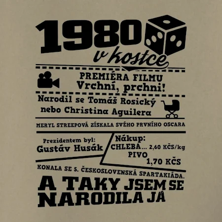 1980 v kostce