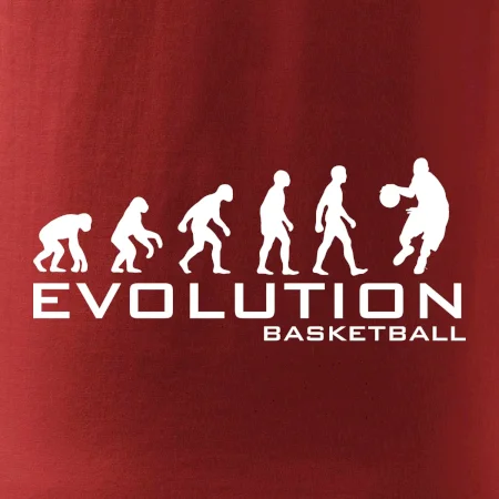 Evoluce Basketball