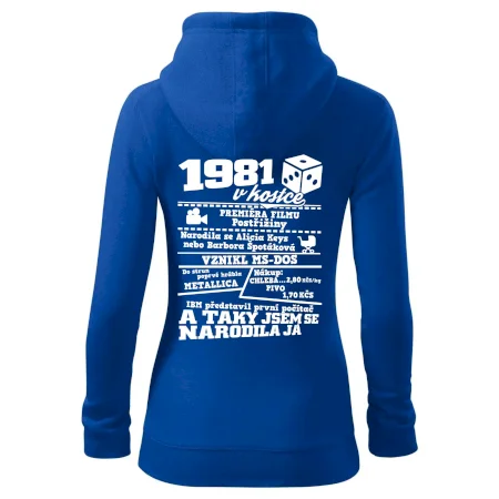 1981 v kostce