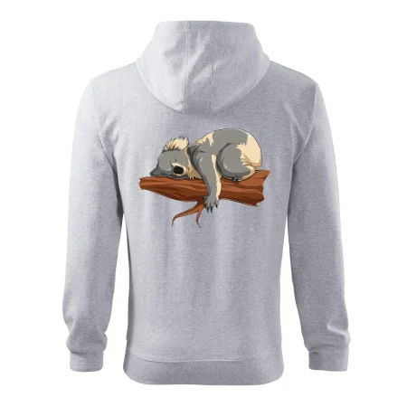 Koala na větvi