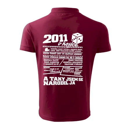 2011 v kostce
