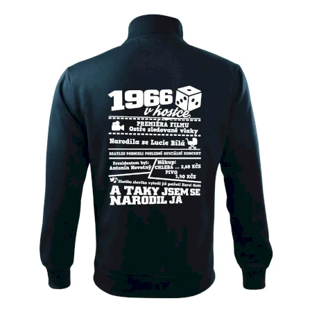 1966 v kostce