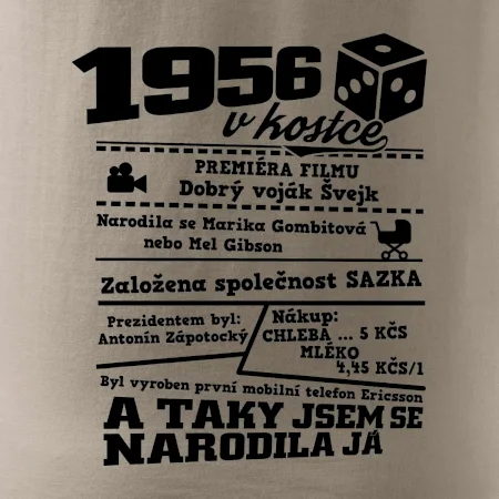 1956 v kostce