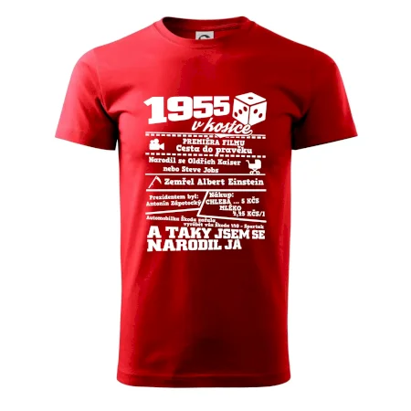 1955 v kostce